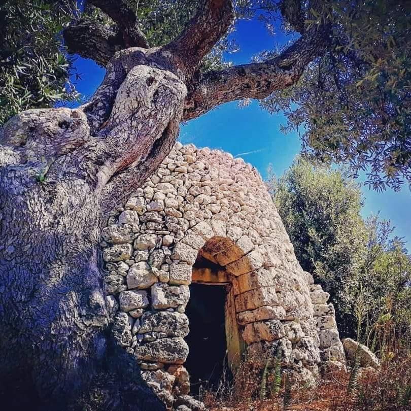 אלסאנו Casa Morena מראה חיצוני תמונה